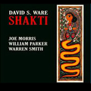 David S. Ware - Shakti